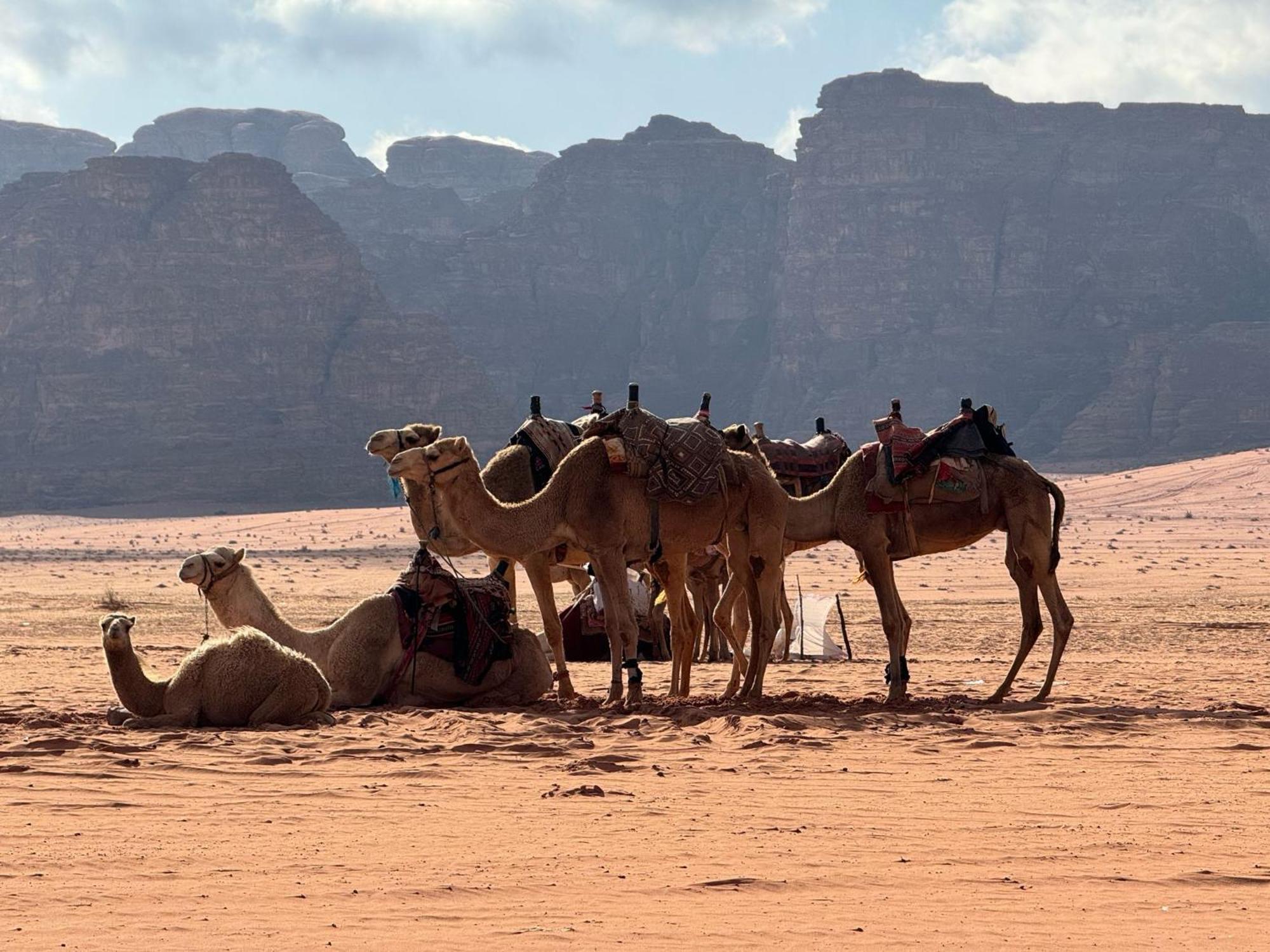 Sunrise Luxury Camp Hotel Wadi Rum Exterior photo